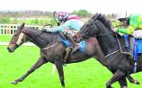 THE PUNTER'S EYE: Three horses to follow at Kilbeggan on Friday evening
