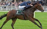 THE PUNTER'S EYE: Four horses to crown the Curragh's Irish Guineas weekend