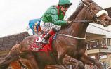 THE PUNTER'S EYE: Irish Derby Special