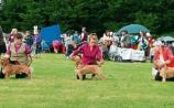 Dogs waiting to be inspected by the judges Picture: Adrian Butler