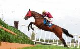 Top class entry for JT McNamara Ladbrokes Munster National at Limerick