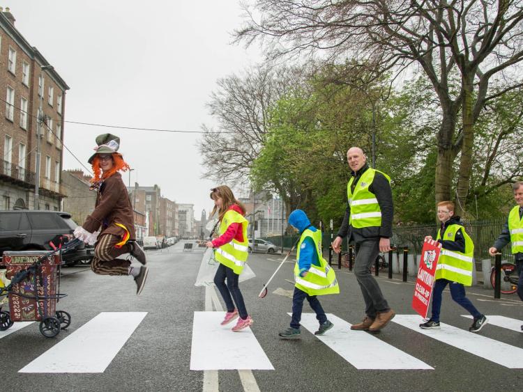 Paul O'Connell leads army of volunteers for Team Limerick Clean-Up