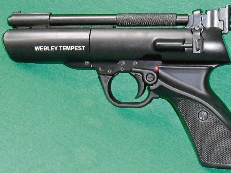 RSF member had gun&nbsp;'left behind' by Limerick gardai