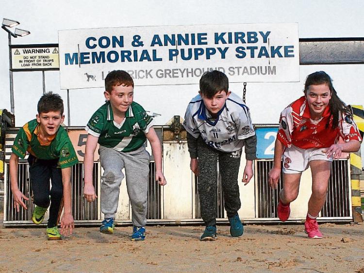 Con and&nbsp;Annie Kirby Memorial reach&nbsp;quarter finals in Limerick