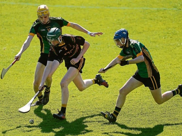 Hospital's John the Baptist win All Ireland hurling crown