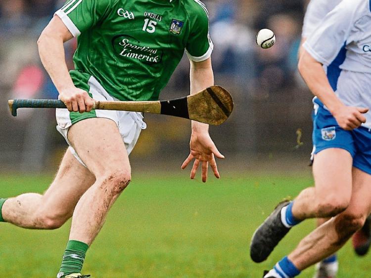 Limerick hurlers get confidence boosting challenge game win over Waterford