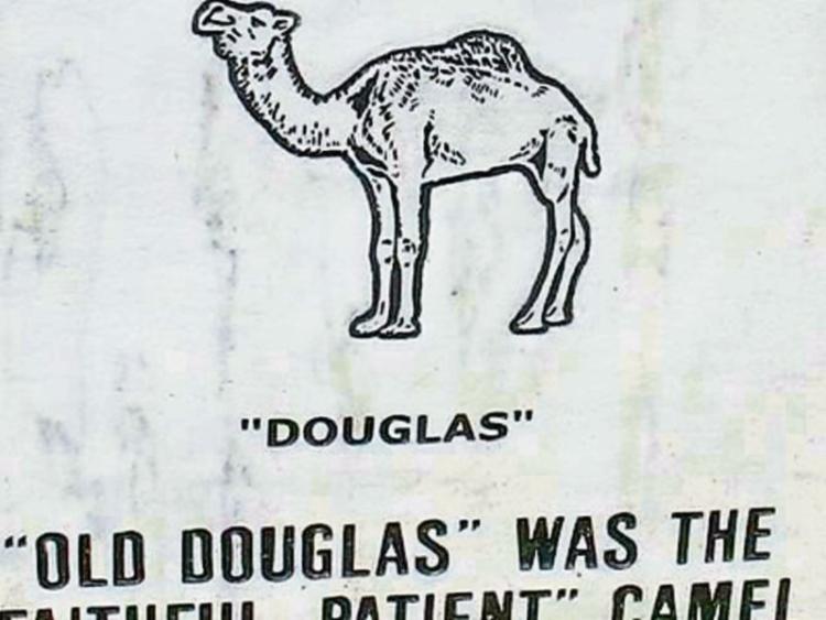 Camel's resting spot disputed by reader from Glin