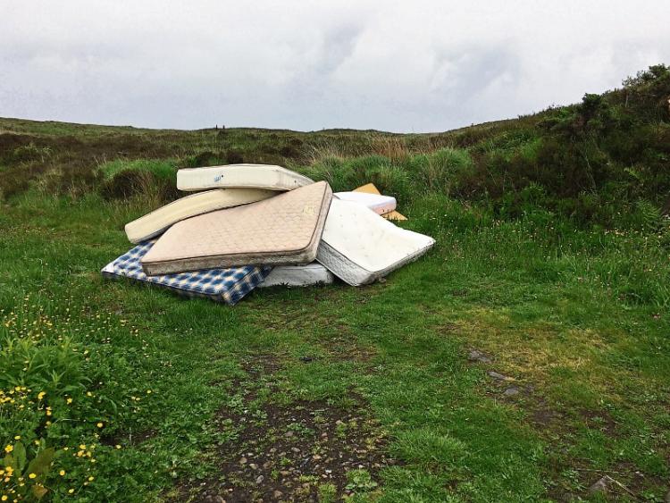 Mattress dumping at beauty spot on Limerick-Clare border condemned as 'despicable'