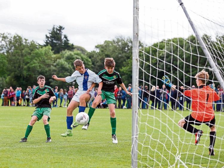 Limerick Desmond make Kennedy Cup quarters as District miss out