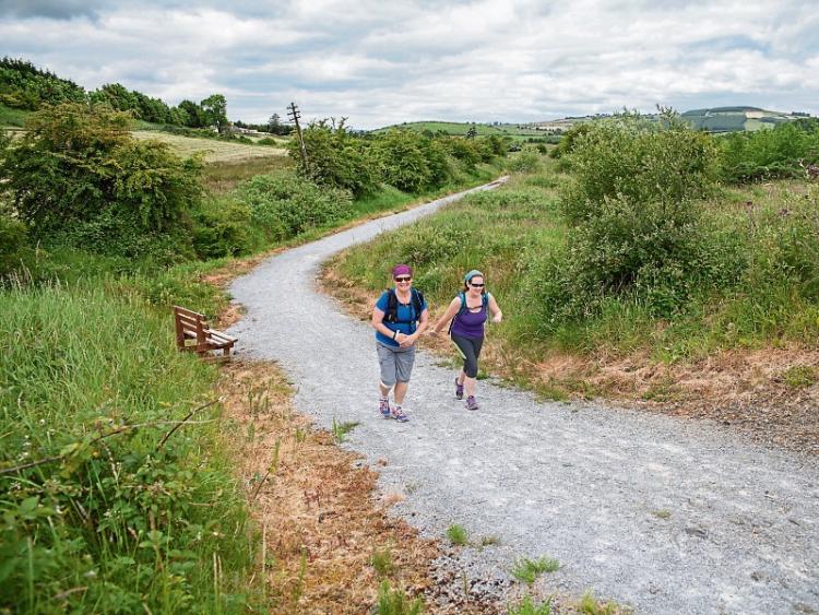 Greenway plans for Limerick to be discussed further