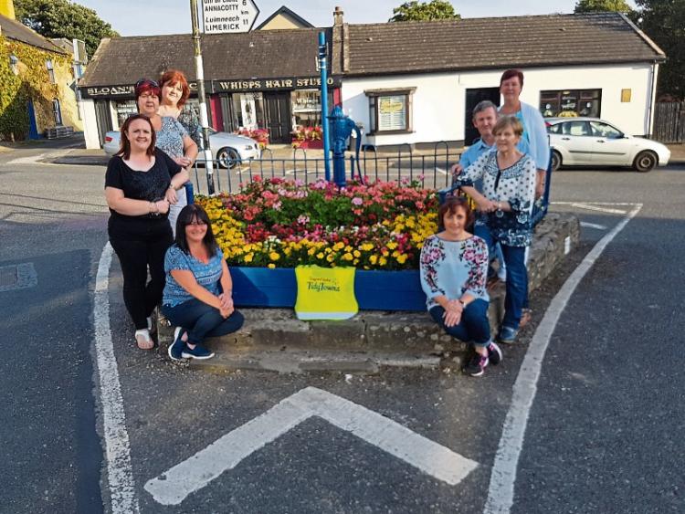 Castleconnell&nbsp;wins&nbsp;vote to reach Limerick Going for Gold final&nbsp;