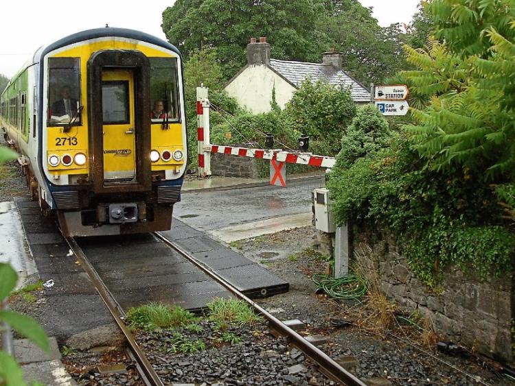 A network for Limerick could tap into the existing rail lines and link up with the Ballybrophy line, which runs through Castleconnell, it has been suggested