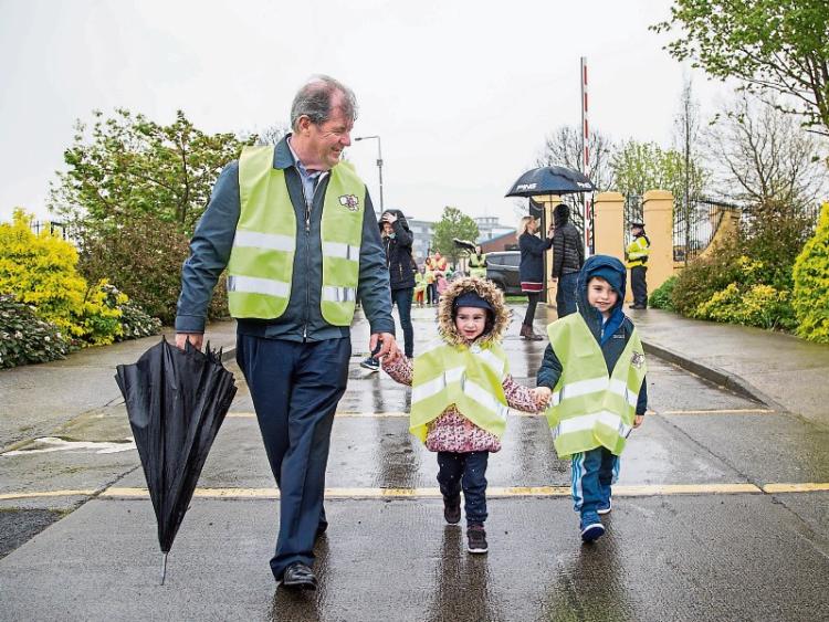 Limerick City and County Council must take more cleaning responsibility
