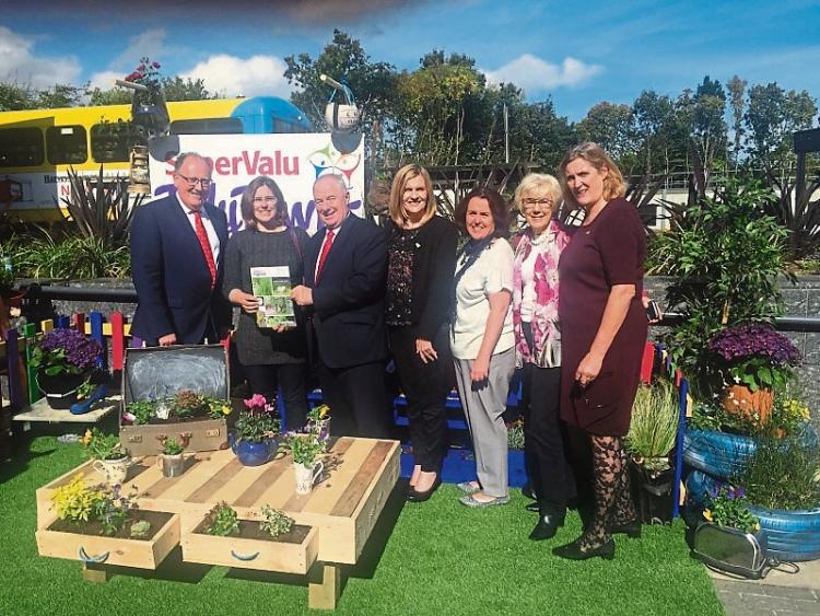 Tidy Towns joy for Limerick City Centre