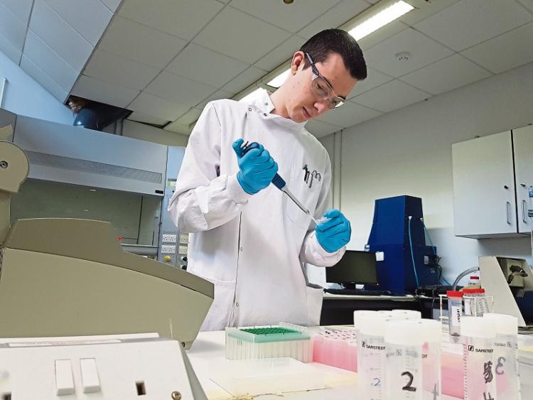 LIT student Jack Hassett, whose studies have revealed the honeybee remains alive and well in Ireland