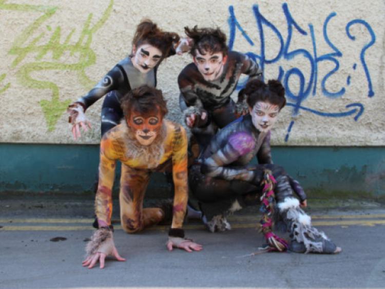 &acirc;&euro;&tilde;Purrfect&acirc;&euro;&trade; musical for Limerick&acirc;&euro;&trade;s Mary I drama soc 