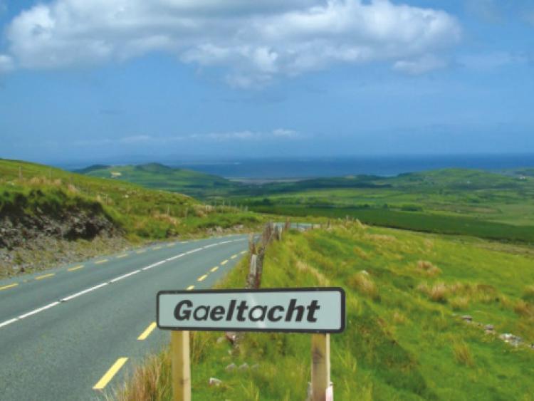 Patricia Feehily's column of February 22 raised a few hackles