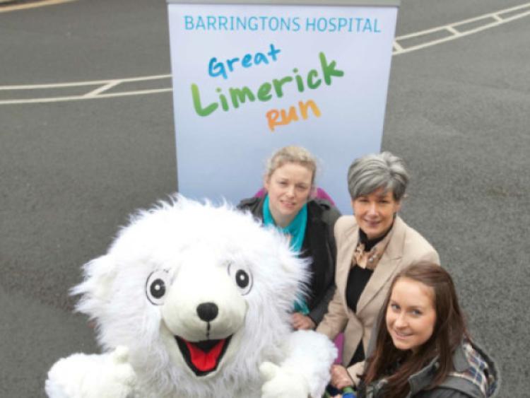 Going green: Ursula Ahern, City Council, Pauline McDonagh, Regional Waste Management Office and Susan Cullinane, Barringtons Hospital Great Limerick Run