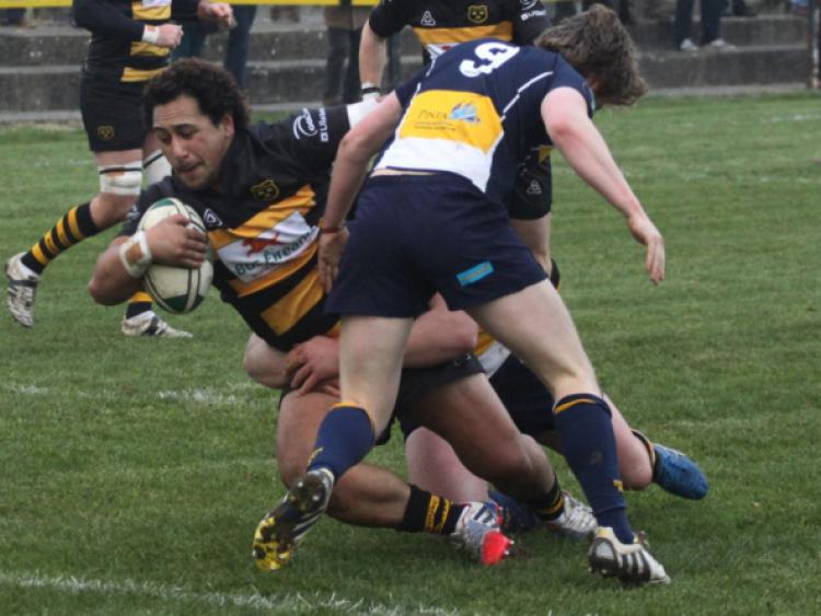 Young Munster centre Kolio Hifo was in try-scoring form in his side's impressive AIL Division 1A win over Dolphin at Clifford Park last weekend