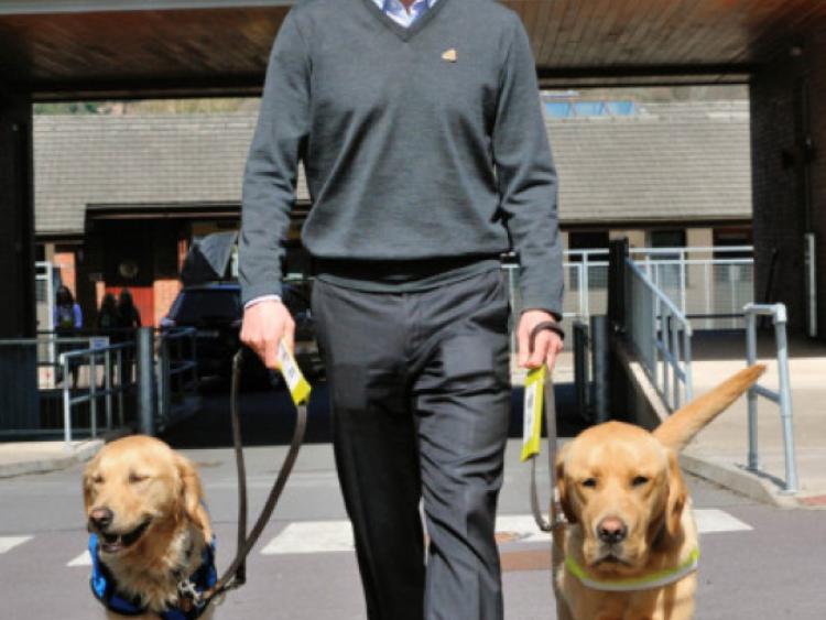 Shades advocate Roy Keane