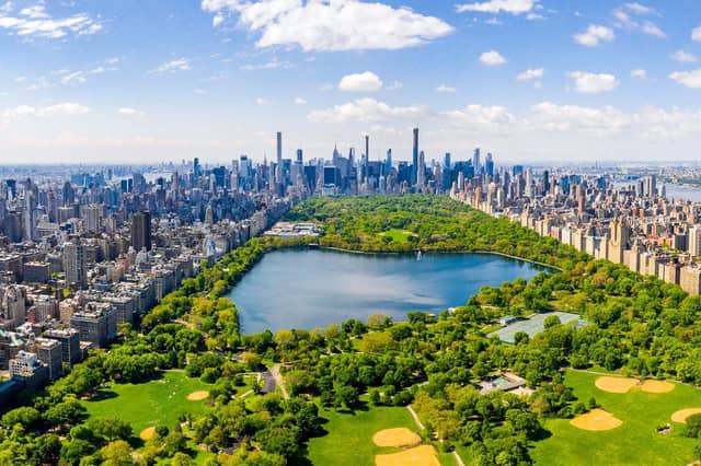 Central Park in New York is known for its trees