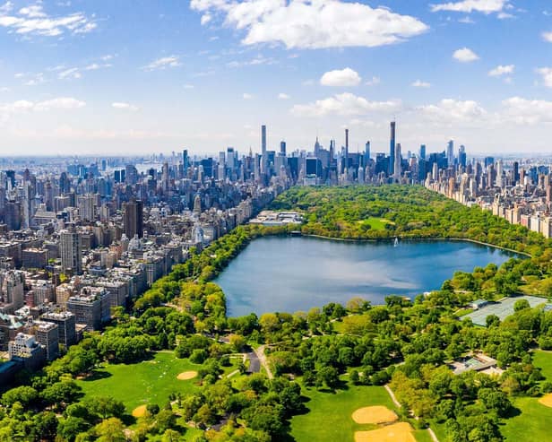 Central Park in New York is known for its trees
