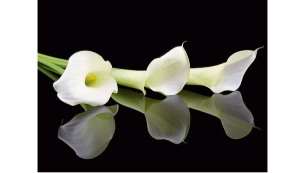 RIP: Limerick deaths and funeral details, Thursday, December 04, 2025