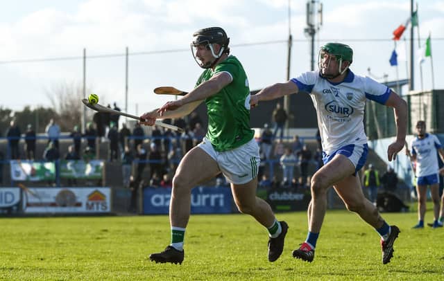 Limerick senior panellist Hugh Flanagan is part of Evan Loftus' U20 team | PICTURE: Sportstile