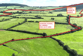 The 210 acres farm at Kilmacow, Adare went under the hammer before Easter