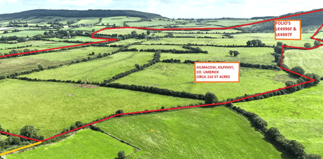 The 210 acres farm at Kilmacow, Adare went under the hammer before Easter