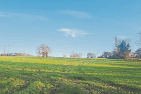 Auctioneer Bill Hanly said it is superb quality grassland and even with all the wet weather you could walk the land in Ballysheedy on any day in the last few months