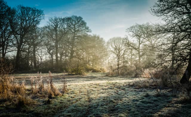 Met Éireann issue weather forecast for weekend and next week