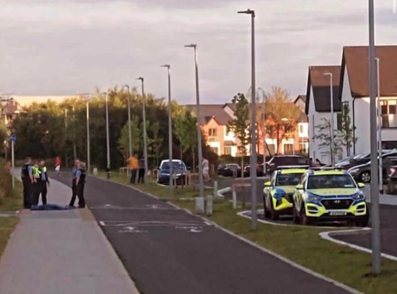 Gardaí at the scene of the incident which occurred at around occurred at around 8pm on June 25, 2024