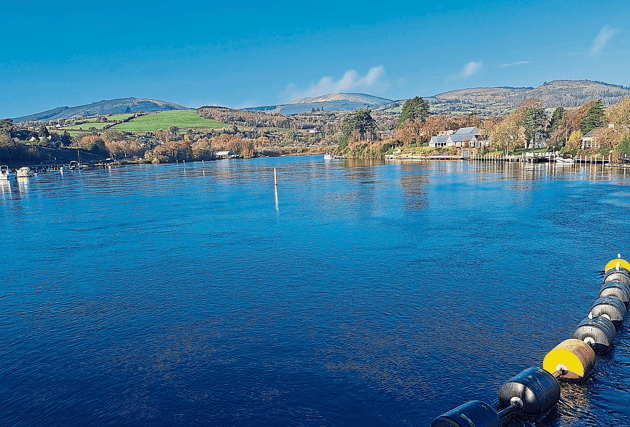 The Local Authority Waters Programme is holding a community information meeting about water quality in Lough Derg