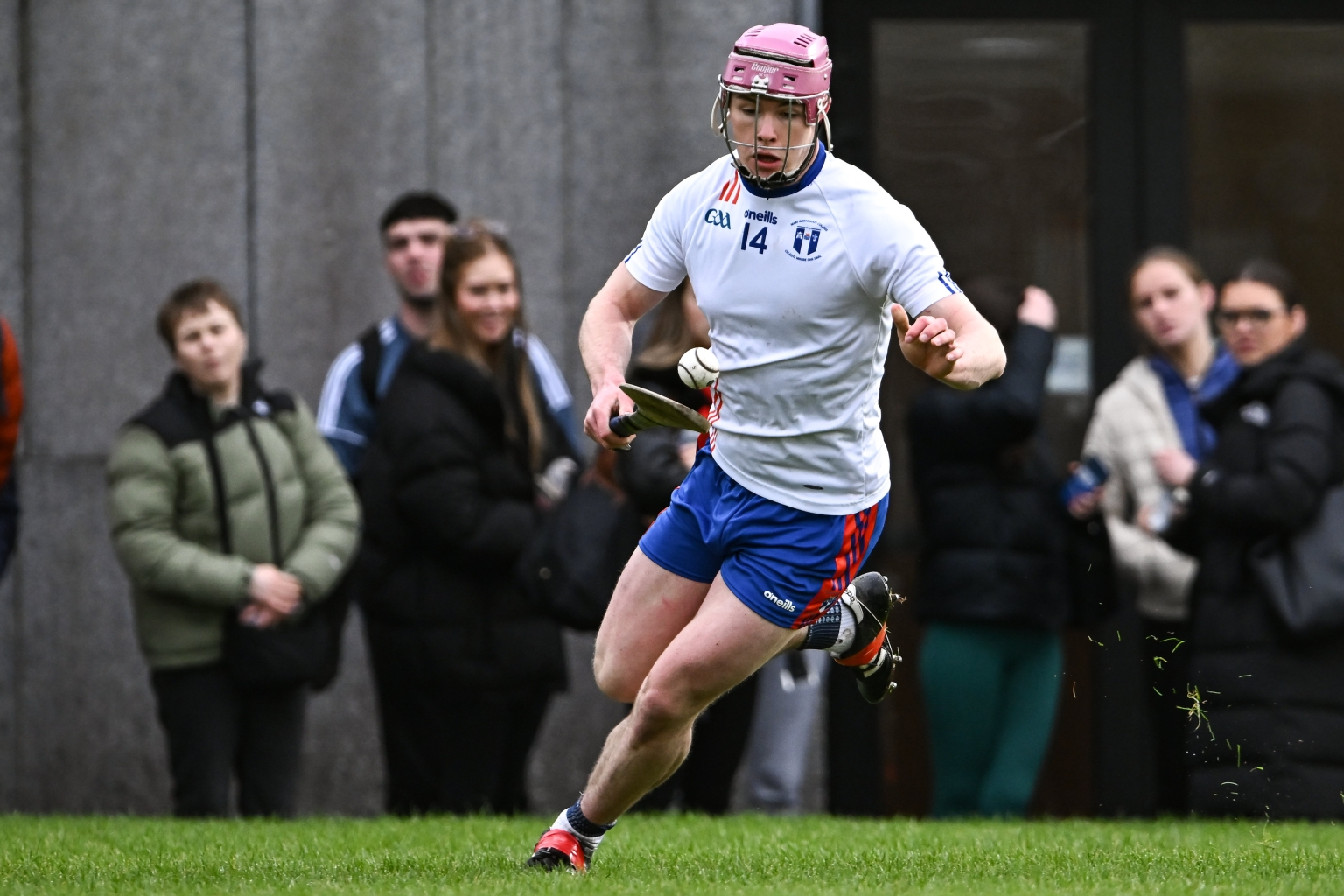 Limerick hurling stars return to college action in Fitzgibbon Cup
