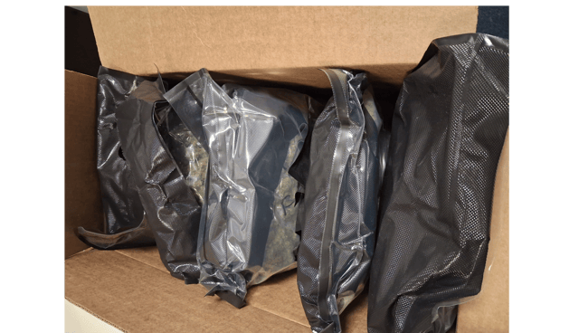 An image of the seizure