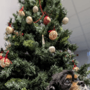 Volunteers will give up their own holidays to ensure animals are loved and cared for