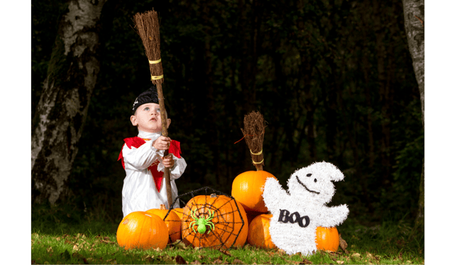 The annual Booo Bash event will take place on October 24, in Croom Sports Hall