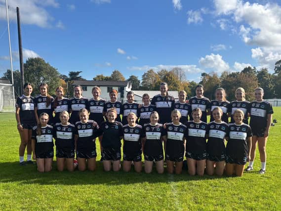 Newcastle West senior camogie squad who won the county title this year