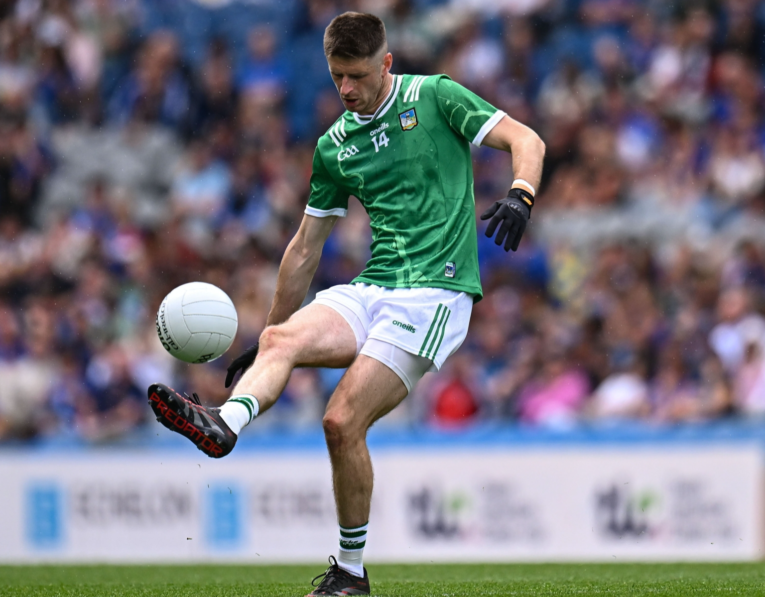 Four Limerick senior footballers named on Tailteann Cup team of the year