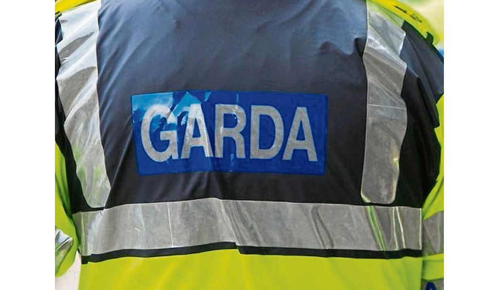 A quantity of property was stolen from a home in Limerick city