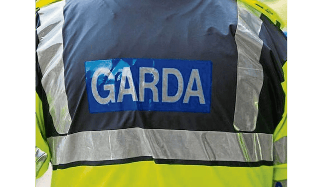 A quantity of property was stolen from a home in Limerick city