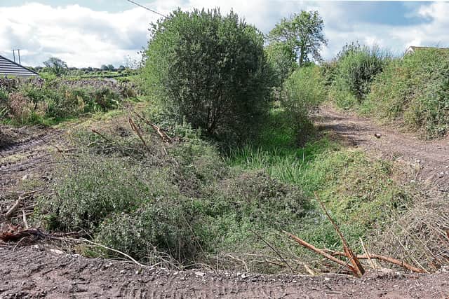 Below: Tom Ryan's land in Mungret (Picture: Adrian Butler)