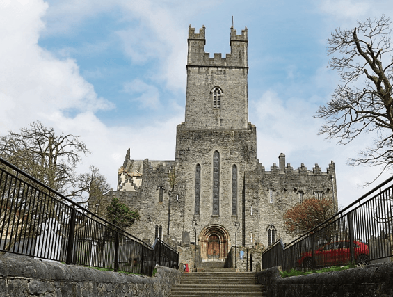 The event will be taking place in St Mary's Cathedral, Limerick city