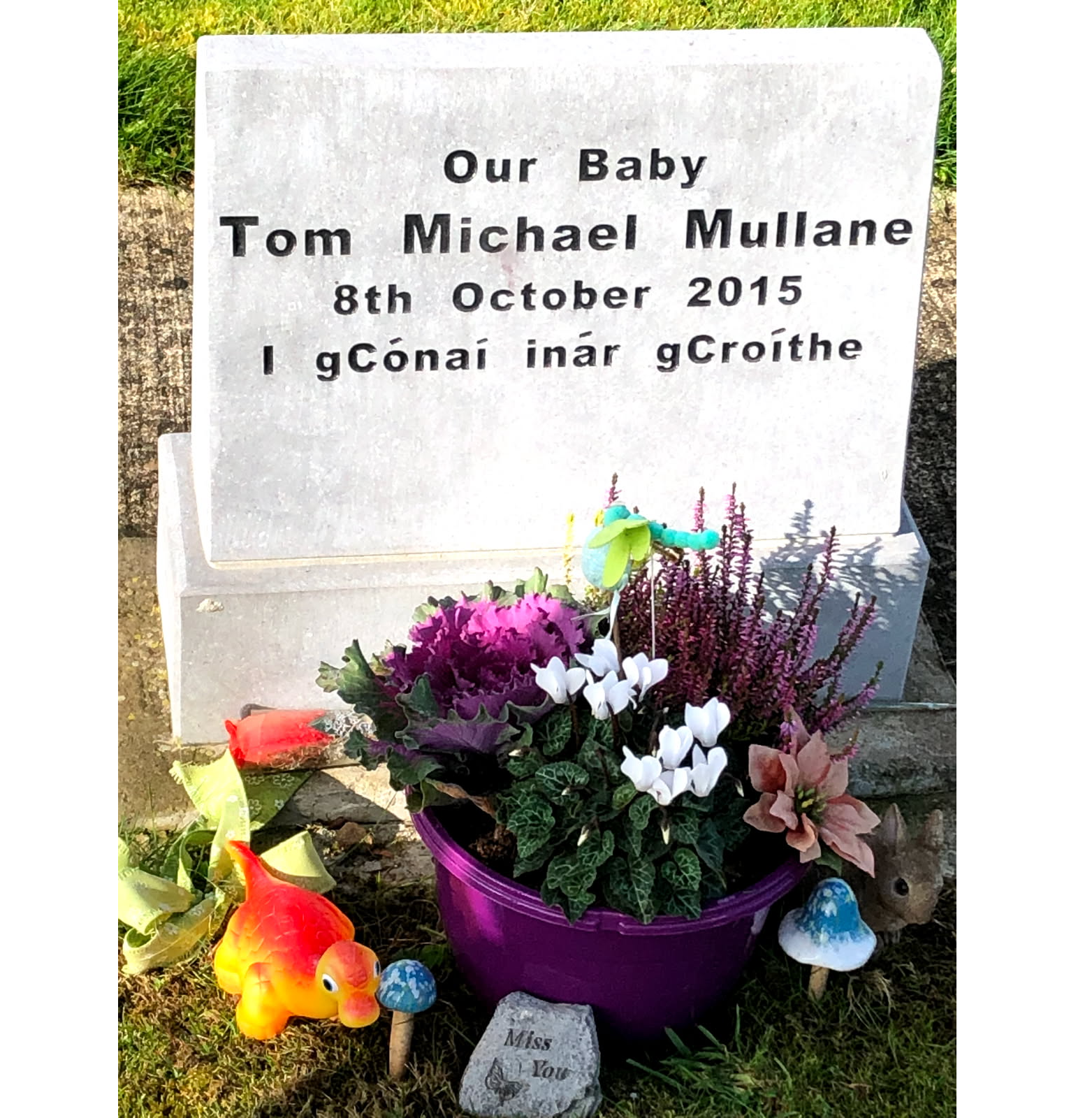 New digital archive will honour lives of loves ones buried in County ...