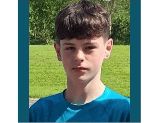 Fergus Harty (14) has been missing from Limerick city since last Saturday