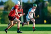 Adare face Monaleen this evening in Fedamore, PICTURE: Brendan Gleeson