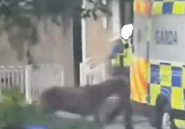 A still from the video which has been widely shared on social media