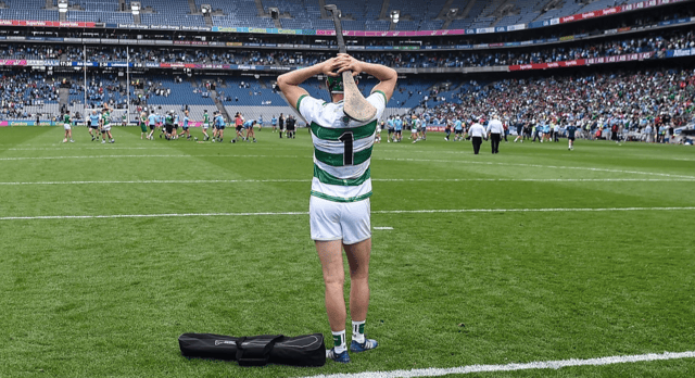 Limerick goalkeeper Nickie Quaid dejected after his side's defeat to Dublin, PICTURE: Sportsfile