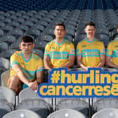 HURLING stars TJ Reid, Patrick Horgan, William O’Donoghue, Mark Rodgers, and Paddy Smyth were on hand to launch this year’s Hurling for Cancer Research match. 